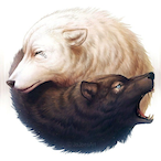 OdinsSword's Avatar'