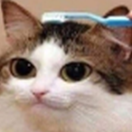 IIIIIIlIIllIllI's Avatar'