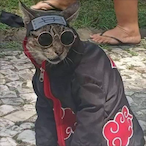 Anbision.exe's Avatar'