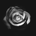Iridescent_.'s Avatar'