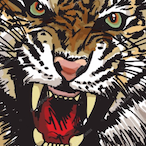 TILT.Animex's Avatar'