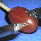 Superliminal-_-'s Avatar'