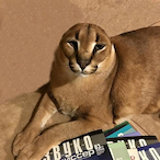 Geetup5411's Avatar'