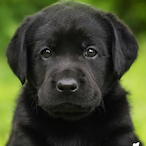 cashapp ryda's Avatar'