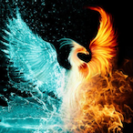 darkfireplace's Avatar'
