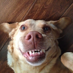 ACutInTheButt's Avatar