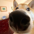 allthebest's Avatar'