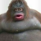 Mats_Sletvold's Avatar'