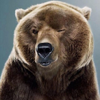 MadGrizz1y's Avatar'