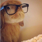 saladbrains's Avatar