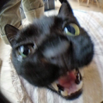 kanni.'s Avatar'
