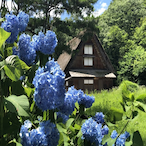 AidanOnFrag's Avatar'