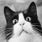 stump_grumper's Avatar