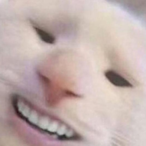 GiveMeYourKnees's Avatar'