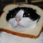 BeanyPoo's Avatar'