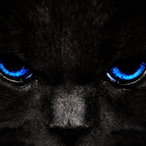 PANDA.--'s Avatar'