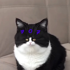 Xsazcv4943's Avatar'