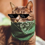 trjhorgxated's Avatar'