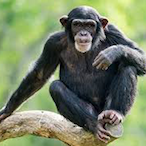 lowkirkbuns's Avatar'