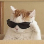 CorotinhaJr.'s Avatar'