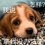 QingZhou.F's Avatar'