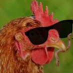 Monte10987's Avatar'