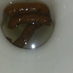 OBS_SlapNutz's Avatar'