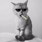 ThRealJezaKy's Avatar'