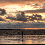 SkeggzyToastMan's Avatar'