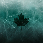 EED.Hurvinek's Avatar'