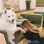 aikamee's Avatar'