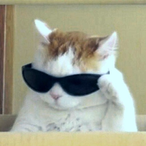 Maxtermind.'s Avatar'