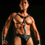 mastertwei's Avatar'