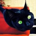 Meow_Wolf_'s Avatar'