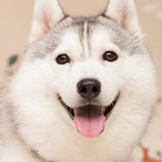 Xiang_1202's Avatar'