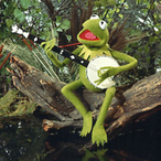 Mitkusboii's Avatar'