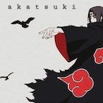 BlackEbird's Avatar'