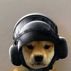 pol_elgeneral_9's Avatar'