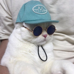 Cecil---__---'s Avatar'