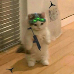p-OwO-q's Avatar'