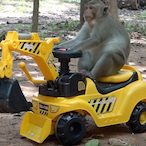 KP27Boateng's Avatar'