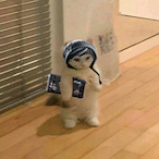 Pitiless_TR's Avatar'