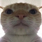 Murka69's Avatar'