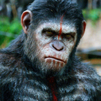 MonkeyKoong's Avatar'