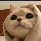 Pippi_0210's Avatar'