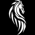 Rohinrim's Avatar'