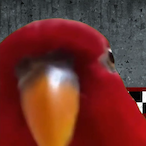 Zercly.'s Avatar'