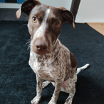 Blu0eStaR_'s Avatar'