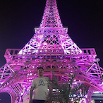 ariaashnaider's Avatar'