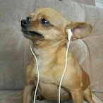 srv-saturno's Avatar'